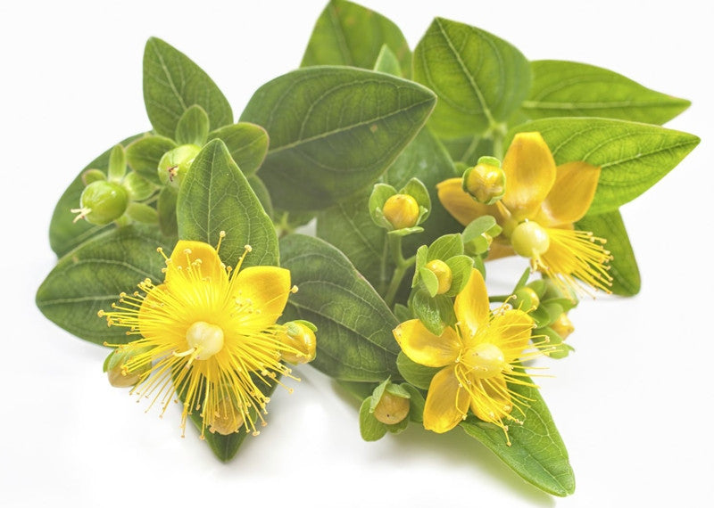 Does St. John's Wort Work?